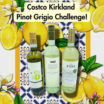 Costco Kirkland Signature Pinot Grigio Challenge! (Same as Pinot Gris? The perfect summer wine, side-by-side taste test, could the wine snobs be wrong?!?)
