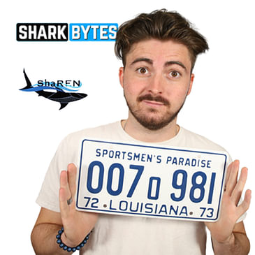 Kristian Parton - Marine Biologist & shark enthusiast
