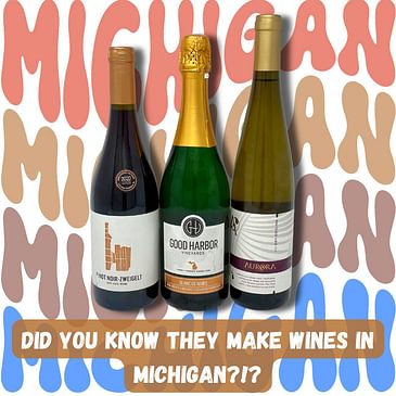 They Make Wine in Michigan?!? (The Riesling Belt, Leelanau Peninsula, and a bunch of other stuff we bet you didn’t know!)