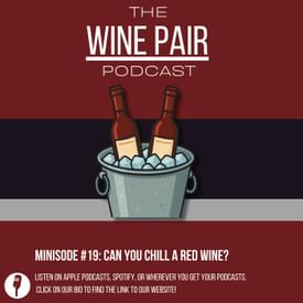Minisode #19: Can You Chill a Red Wine? (The 20/20 rule, chillable red wines)
