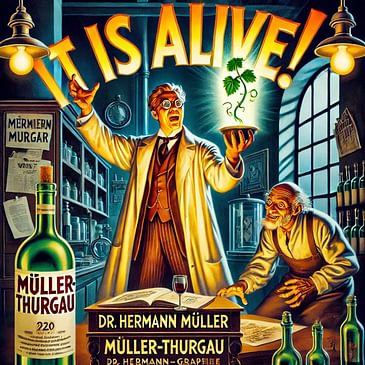 Aromatic Dry White Wines: Müller-Thurgau!