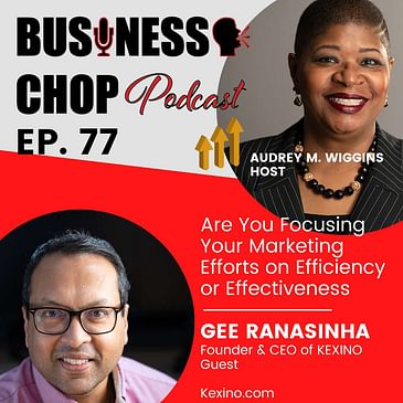 Are You Focusing Your Marketing Efforts on Efficiency or Effectiveness with Gee Ranasinha