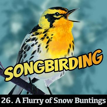 S4E26 - A Flurry of Snow Buntings
