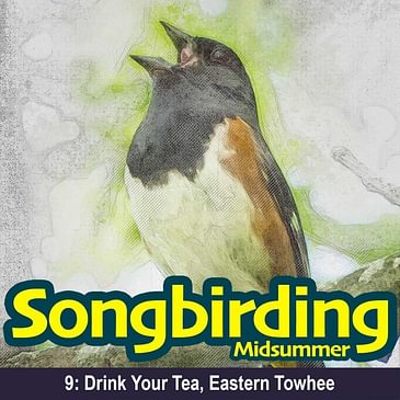 S2E9 - Drink Your Tea, Eastern Towhee