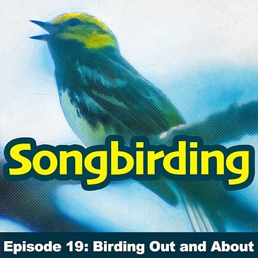 S1E19 - Birding Out and About