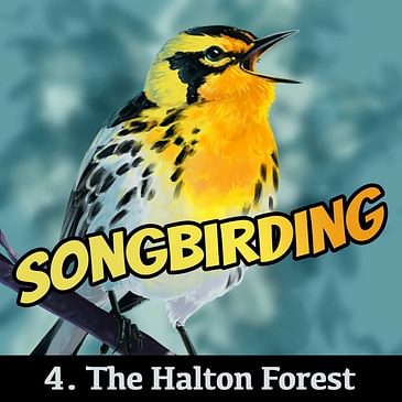 S4E4 - The Halton Forest