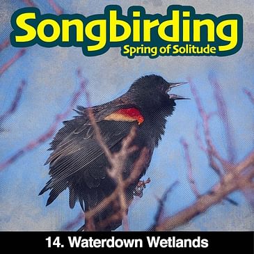 S3E14 - Waterdown Wetlands