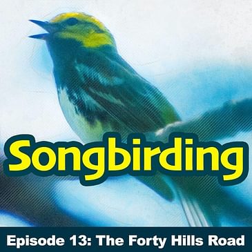 S1E13 - The Forty Hills Road