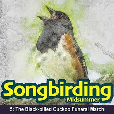 S2E5 - The Black-billed Cuckoo Funeral March
