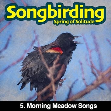 S3E5 - Morning Meadow Songs