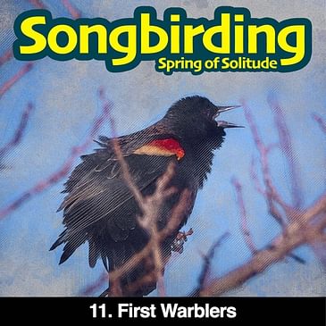 S3E12 - First Warblers