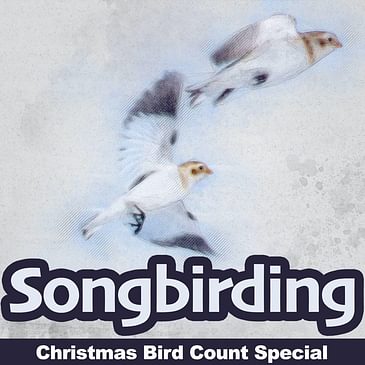 Christmas Bird Count Special, Part 1