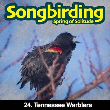 S3E24 - Tennessee Warblers