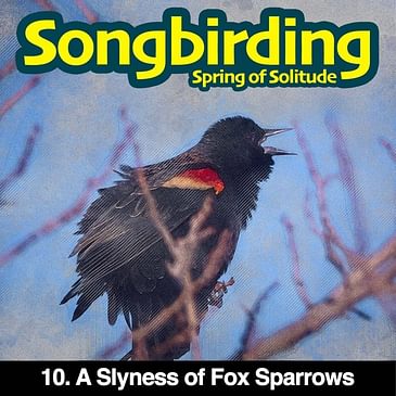 S3E10 - A Slyness of Fox Sparrows