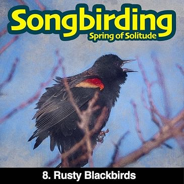 S3E8 - Rusty Blackbirds