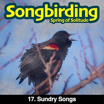 S3E17 - Sundry Songs
