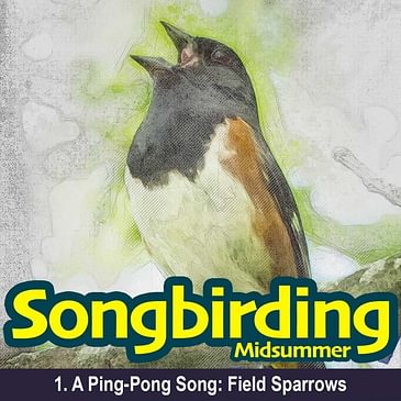 S2E1 - A Ping-Pong Song: Field Sparrows