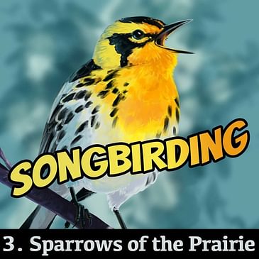 S4E3 - Sparrows of the Prairie