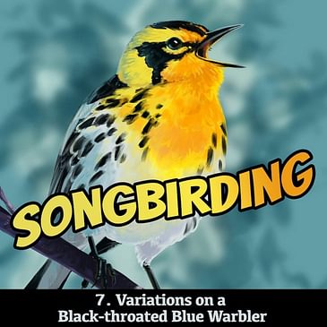 S4E7 - Variations on a Black-throated Blue Warbler