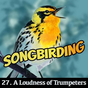 S4E27 - A Loudness of Trumpeter Swans