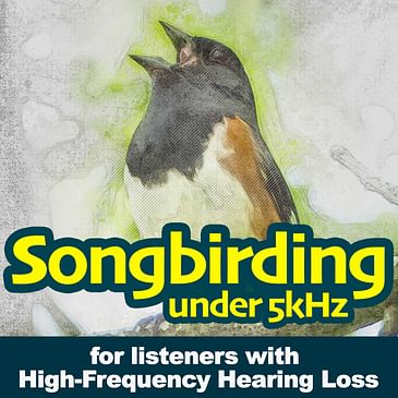 S2E3 - So Similar Sounding: Savannah, Song Sparrow