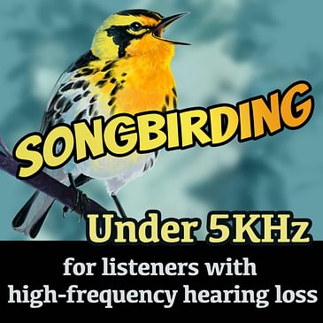 Songbirds of Hamilton 2: McMaster Forest Virtual Field Event