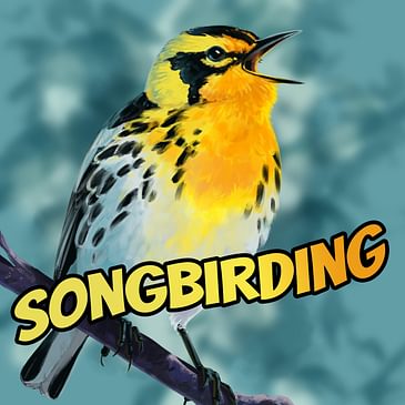 S6E6 - The Hike Back, Part 1 (Black-throated Green Warbler)