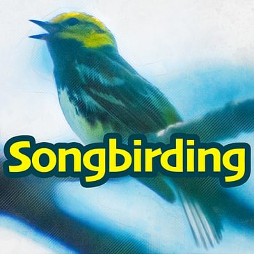 Birdsong Identification Quiz (Season 1)