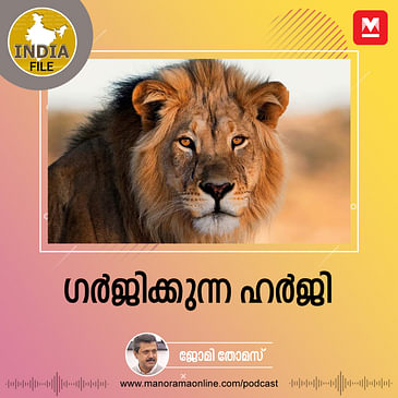 ഗർജിക്കുന്ന ഹർജി