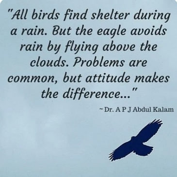 "Eagle" bird with all the wisdom