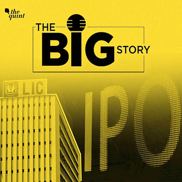 What Should the Retail Investor Note About LIC's Mega IPO?