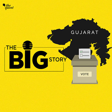 What Led to Aam Aadmi Party’s Surat Win in Gujarat Civic Polls?