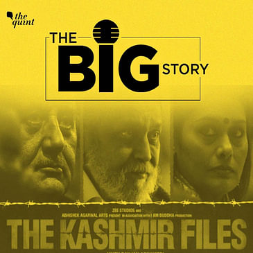 Does 'The Kashmir Files' Represent Kashmiri Pandits or Co-opts Them?
