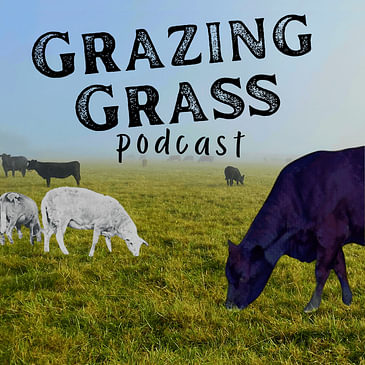 Grazing Grass Podcast