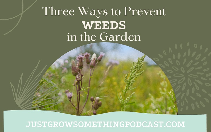 Weed Prevention in the Garden | Just Grow Something with Karin Velez