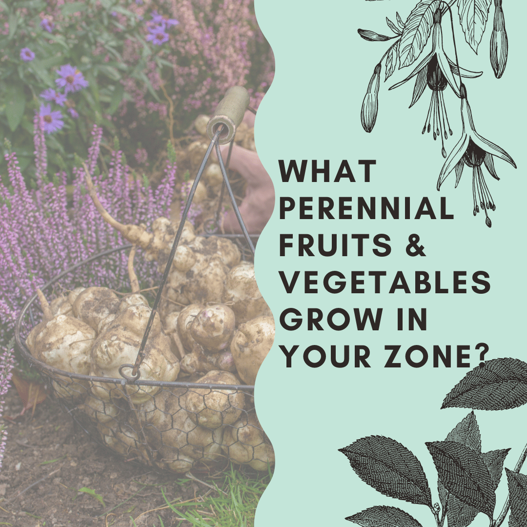 What Perennial Fruits and Vegetables Grow in Your Zone? Just Grow Something with Karin Velez
