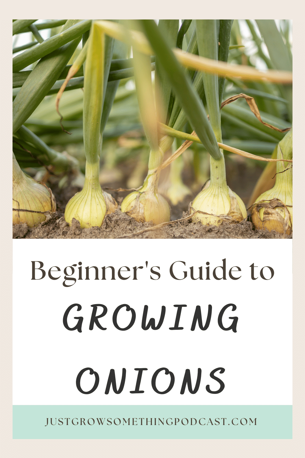Beginner's Guide to Growing Onions | Just Grow Something with Karin Velez