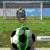 SoccershowdownGC