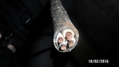 SAM_2636 - копия.JPG