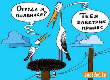 otkuda-ya-poyavilsya-tebya-elektrik-prines.jpg