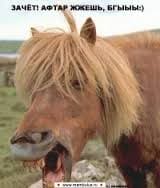 Без названия.jpg