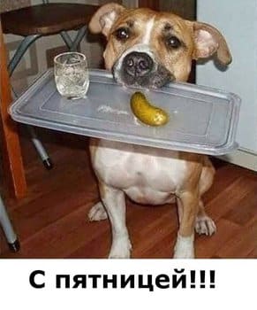 WhatsApp Image 2017-03-17 at 12.02.04.jpeg