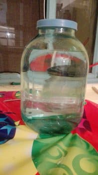 первый СС.jpeg