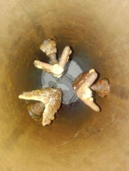 WhatsApp Image 2017-09-29 at 10.28.41.jpeg