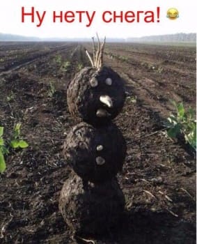 Нет снега.jpg