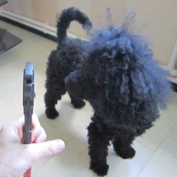 5.JPG (25.74 КБ) 5440 просмотров 5.JPG