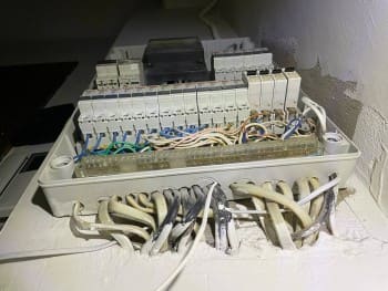 photo_2024-05-16 10.30.05.jpeg