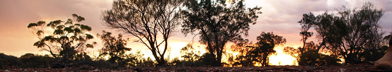 Beacon Minerals Limited