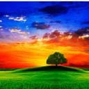 Аватара пользователя