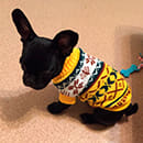 Аватара пользователя